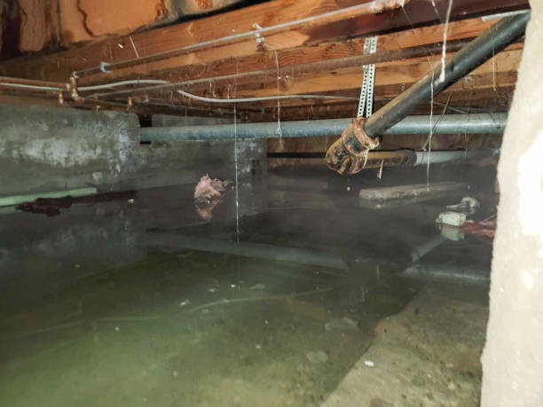 Best Water damage restoration near me  in Marseles, IL