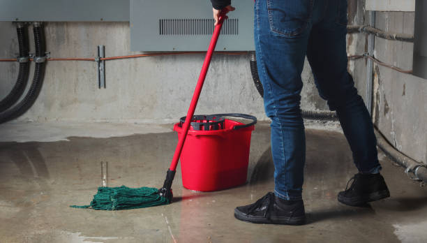 Best Flood restoration services  in Marseles, IL