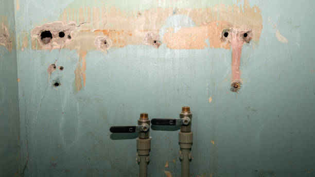 Best Flood damage cleanup  in Marseles, IL